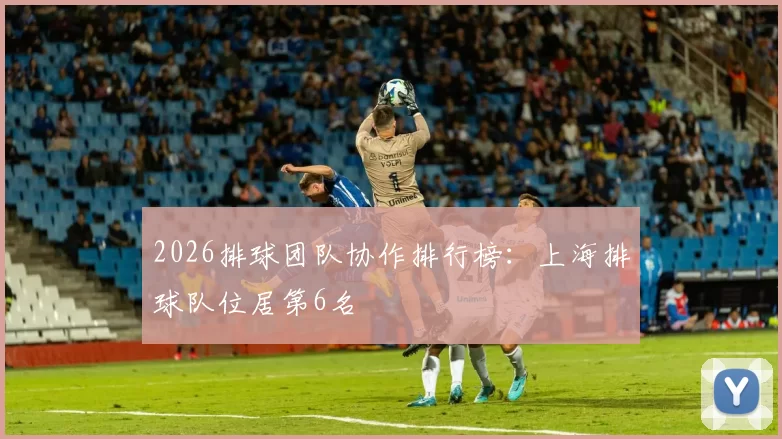 2026排球团队协作排行榜：上海排球队位居第6名