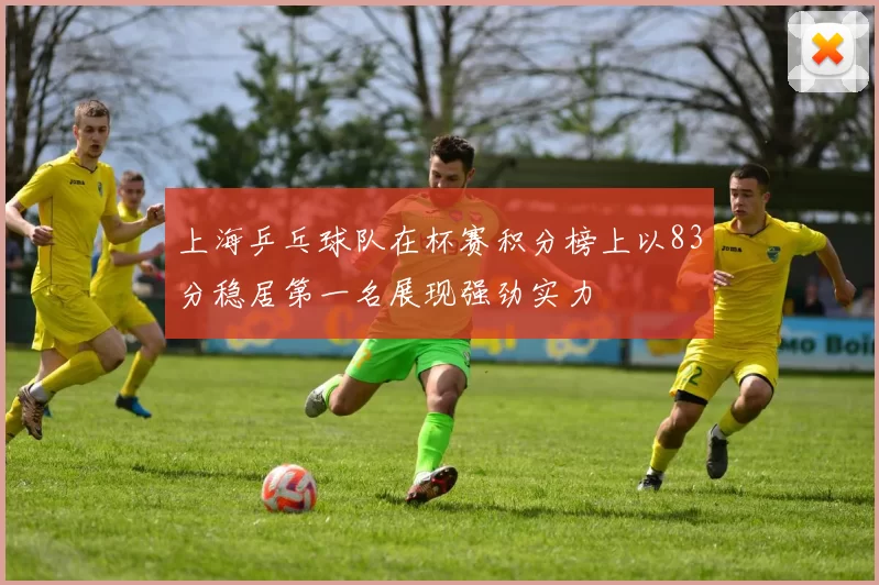 上海乒乓球队在杯赛积分榜上以83分稳居第一名展现强劲实力