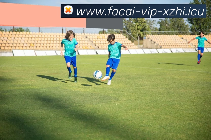 星空体育服务体系